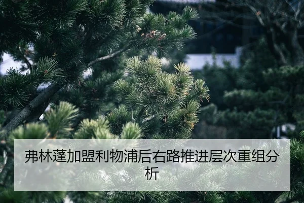 fu-lin-peng-jia-meng-li-wu-pu-hou-you-lu-tui-jin-ceng-ci-chong-zu-fen-xi-2-216.jpg