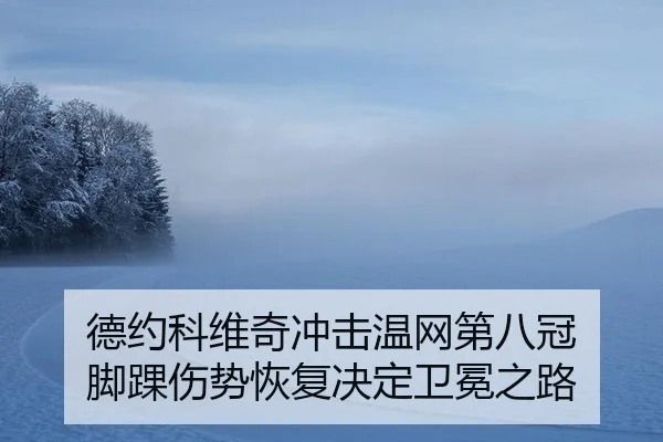 德约科维奇冲击温网第八冠 脚踝伤势恢复决定卫冕之路