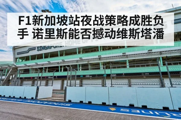 F1新加坡站夜战策略成胜负手 诺里斯能否撼动维斯塔潘